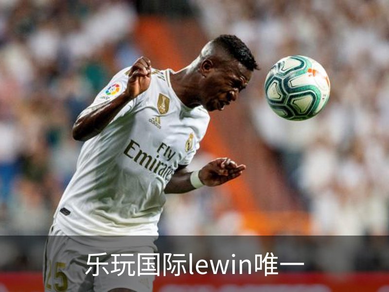 乐玩国际lewin唯一简介