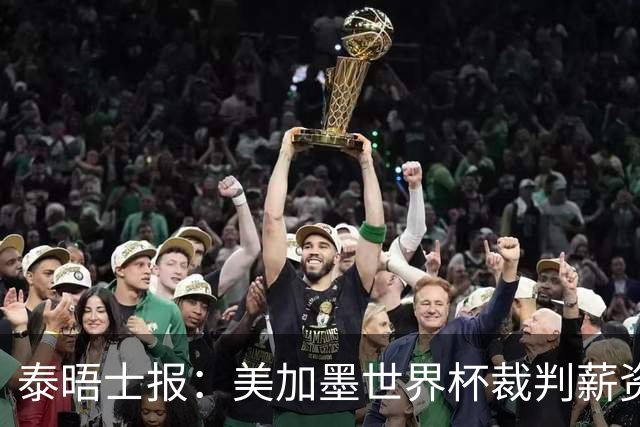 泰晤士报：美加墨世界杯裁判薪资待遇确定，最高可获得10万美元
